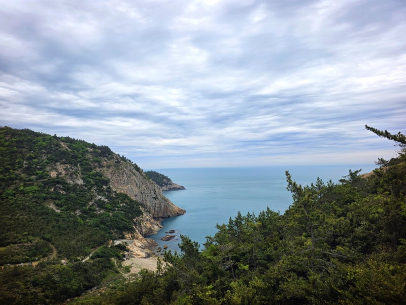 청산도 여행 코스 추천 | 칼바위 장기미해변 유채꽃포인트 이미지 7