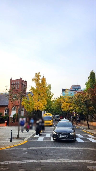 서울 데이트 코스 추천 | 가을을 느낄 수 있는 덕수궁과 정동길 산책 | 덕수궁 무료입장 정보 이미지 12
