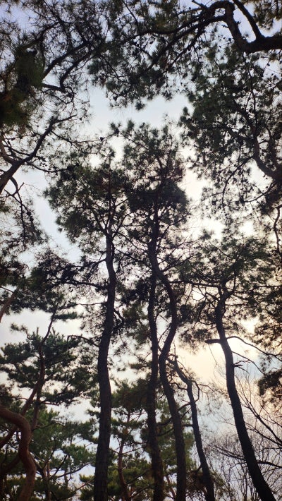 효창공원 산책 | 의열사와 백범김구기념관까지 한번에 둘러보는 효창공원 산책 후기 이미지 3