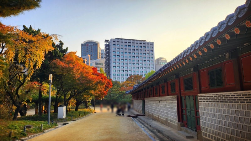 서울 데이트 코스 추천 | 가을을 느낄 수 있는 덕수궁과 정동길 산책 | 덕수궁 무료입장 정보