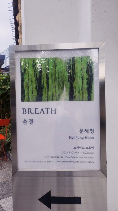 광화문 시청 덕수궁 내돈내산 카페 추천 | 전시도 볼 수 있는 스페이스 소포라 후기 이미지 13