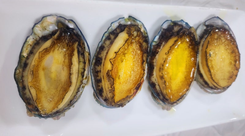 완도 전복코스 맛집 추천 | 완도여객터미널 근처 대흥식당 후기 이미지 9