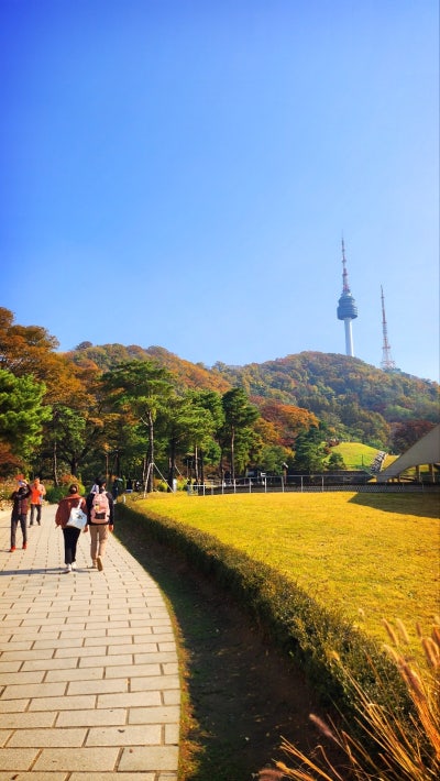 서울 데이트 코스 추천 | 단풍과 함께하는 남산공원 백범광장 코스 현재 이미지 19