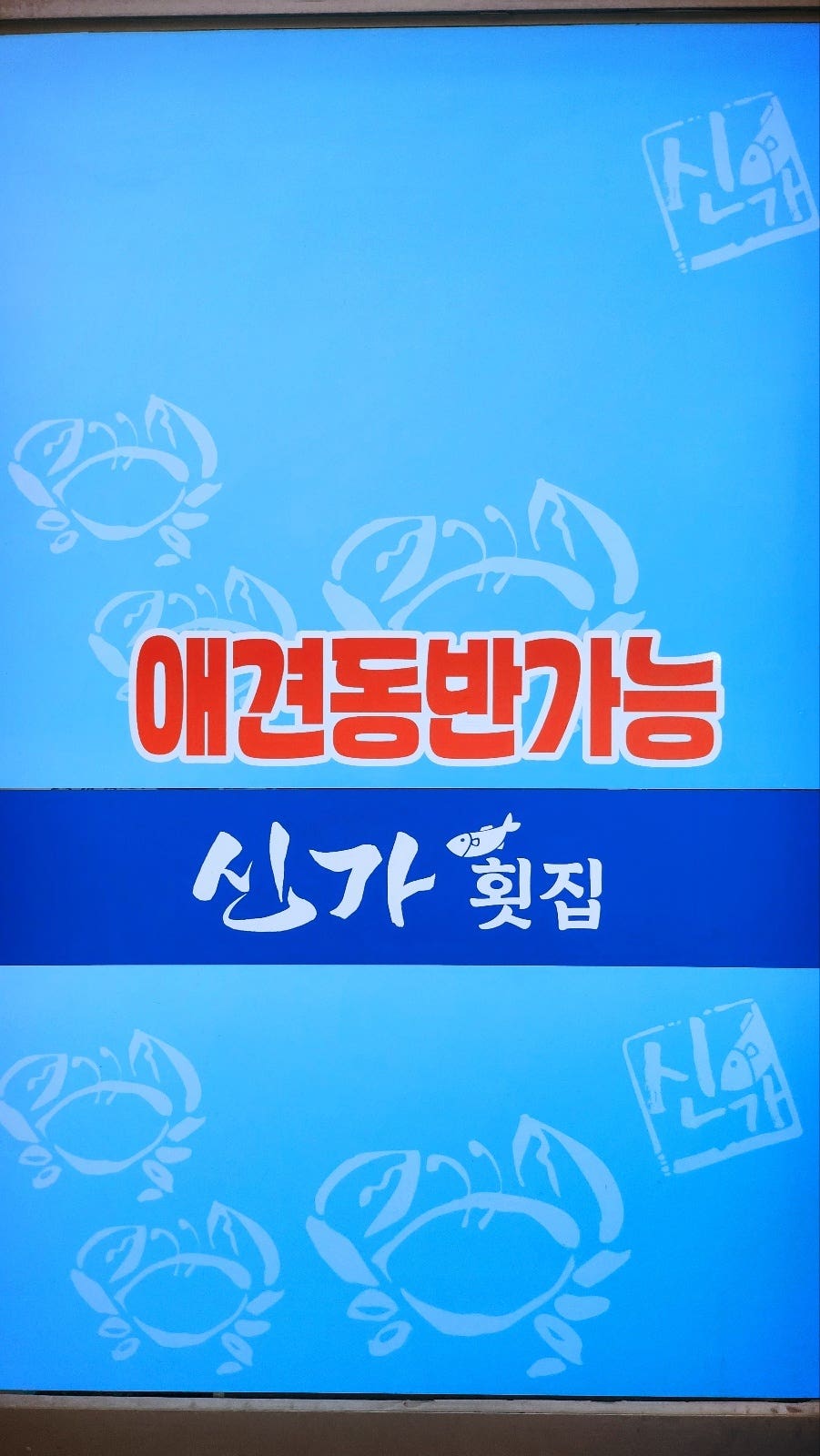 동명항 맛집 횟집 추천 | 속초 현지인 맛집 신가에서 모듬회 후기 이미지 33
