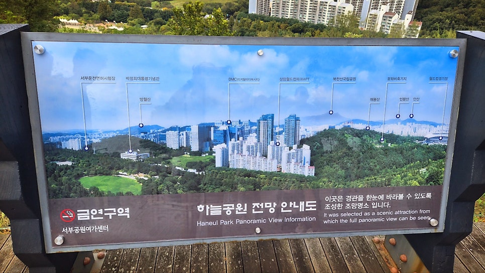 하늘공원 서울 산책코스 추천 | 꽃무릇이 활짝 핀 하늘공원 메타세콰이어길 후기 이미지 8