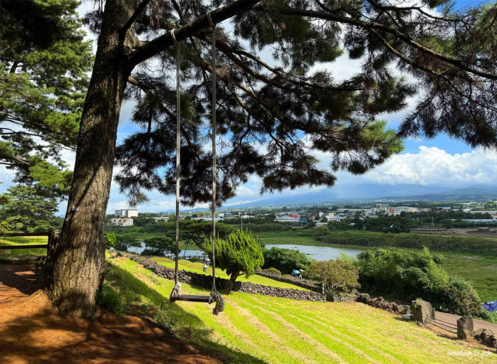 애월 수산봉 그네 풍경 기록 |  제주 산책코스 제주 여행코스 제주 가볼만한 곳 추천 이미지 6
