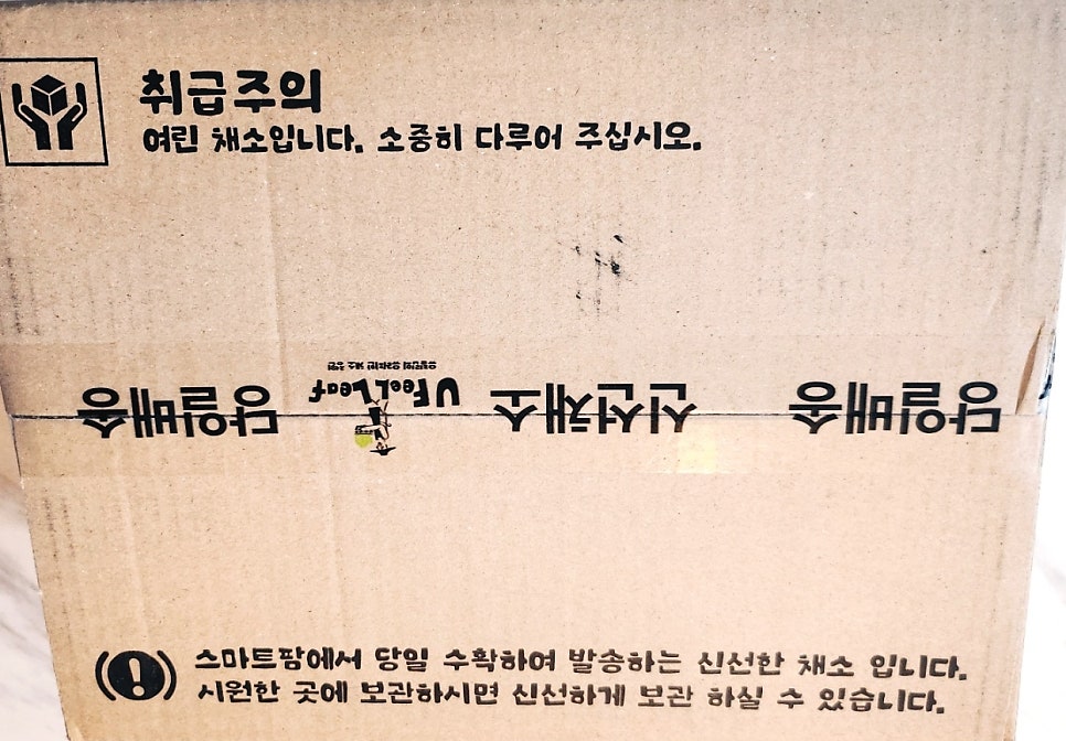 샐러드 채소 추천 | 당일배송 가능한 쌈채소 야채샐러드 유러피안샐러드 샐러드 달달푸드 후기 이미지 5