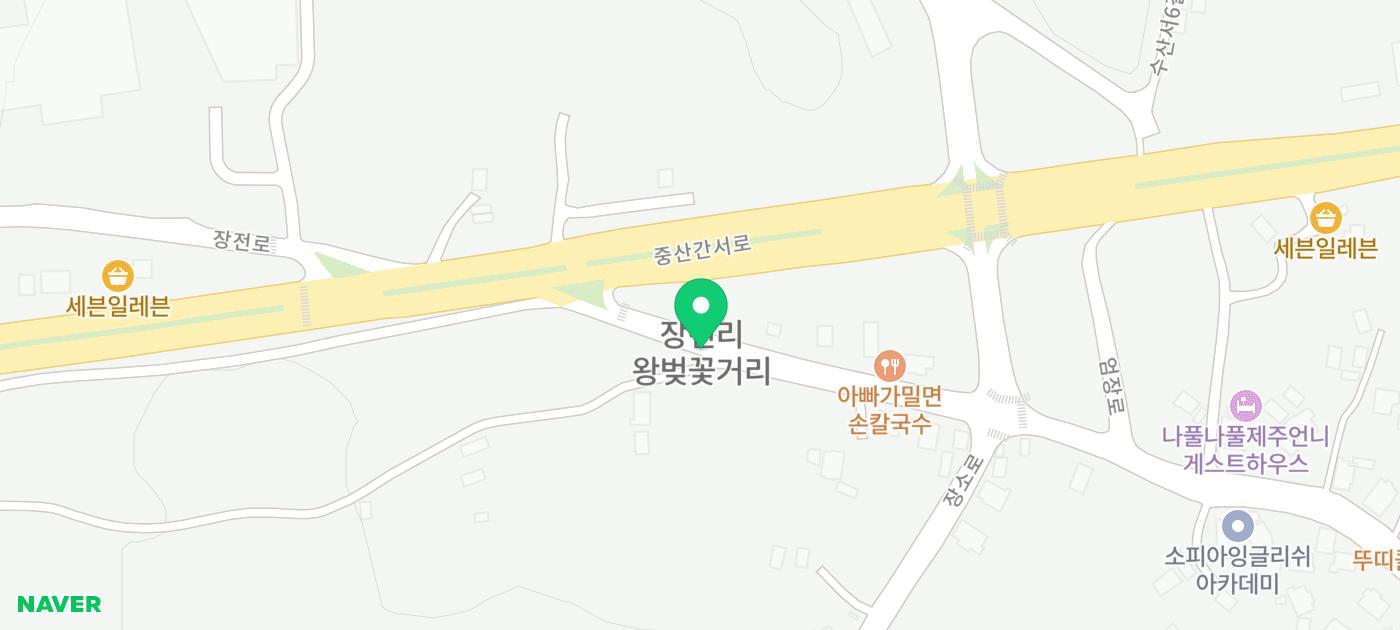 애월 장전리 벚꽃 거리 | 제주 산책코스 제주 여행코스 제주 가볼만한 곳 코스 추천 이미지 21