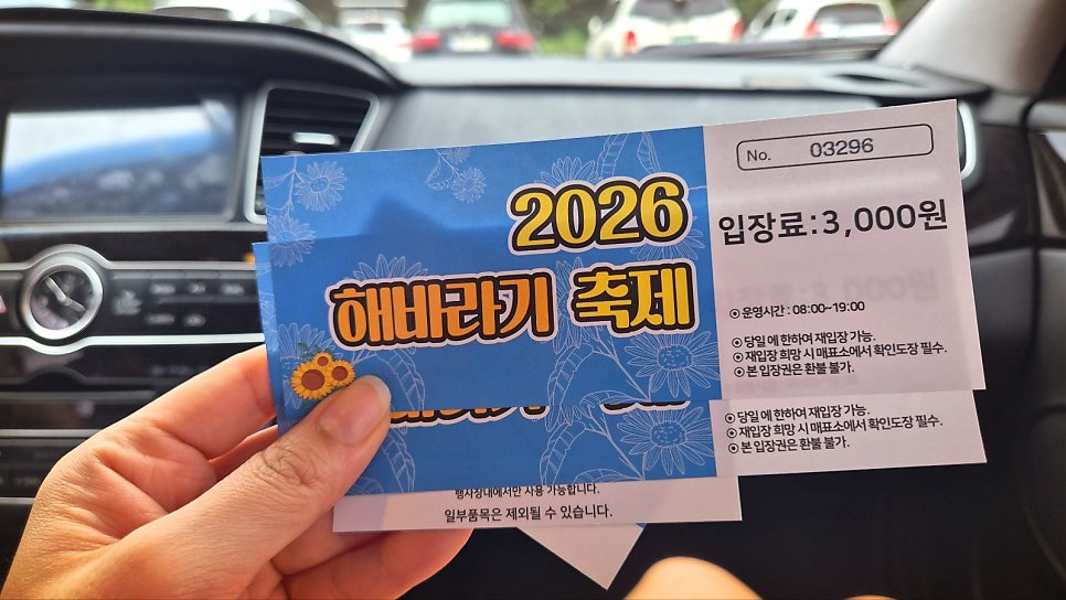교동 해바라기 축제 | 당일치기 여행으로 추천하는 9월 가볼만한 곳 강화 교동도 난정 해바라기 축제 이미지 4