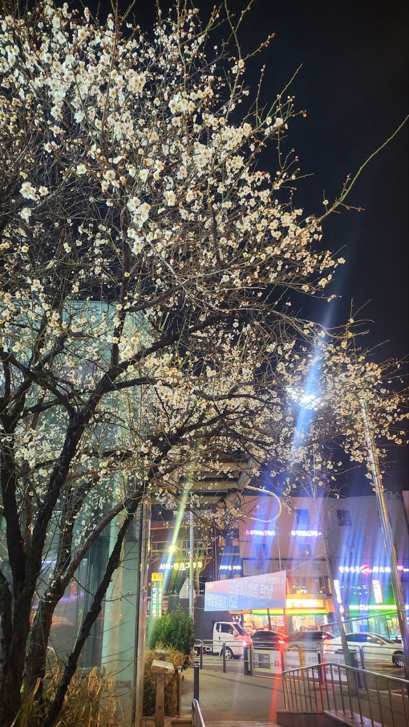 다양한 안주와 막걸리 데이트도 손색없는 홍대 맛집 술집 이자카야 계판의밤 홍대점 후기 이미지 21