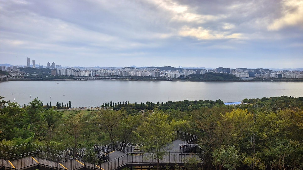 하늘공원 서울 산책코스 추천 | 꽃무릇이 활짝 핀 하늘공원 메타세콰이어길 후기 이미지 4
