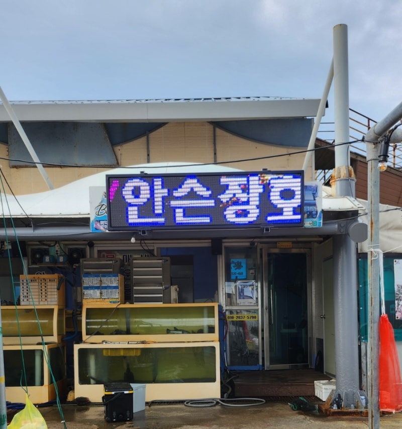 속초 고성 낚시 추천 | 색다른 강원도 놀거리 고성 ‘안슨장호’ 체험낚시 후기 이미지 2