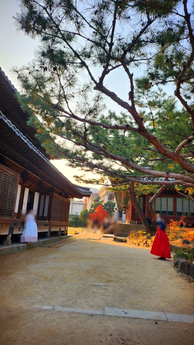서울 데이트 코스 추천 | 가을을 느낄 수 있는 덕수궁과 정동길 산책 | 덕수궁 무료입장 정보 이미지 20