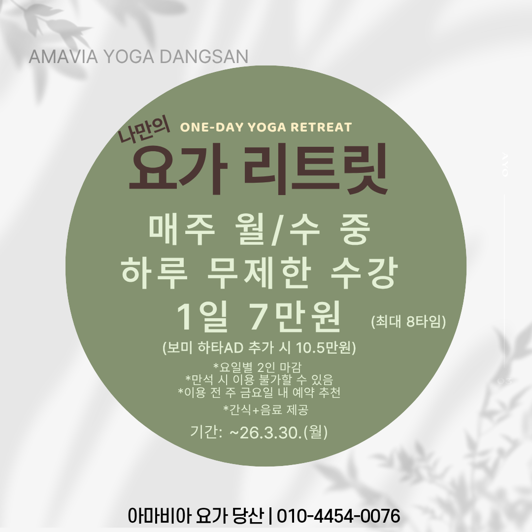 당산요가 추천 | 새로운 이름으로 시작하는 아마비아 요가 당산점 플라잉요가 매트필라테스 소도구필라테스 후기 이미지 17