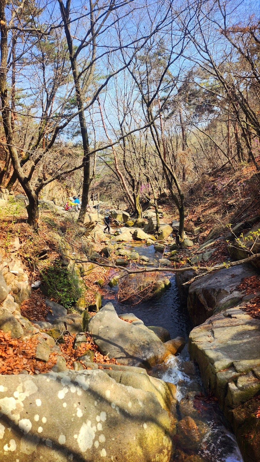 관악산 등산코스 추천 | 관악산역 - 관악산공원 - 연주대 - 관악사 - 과천향교 코스 후기 이미지 6