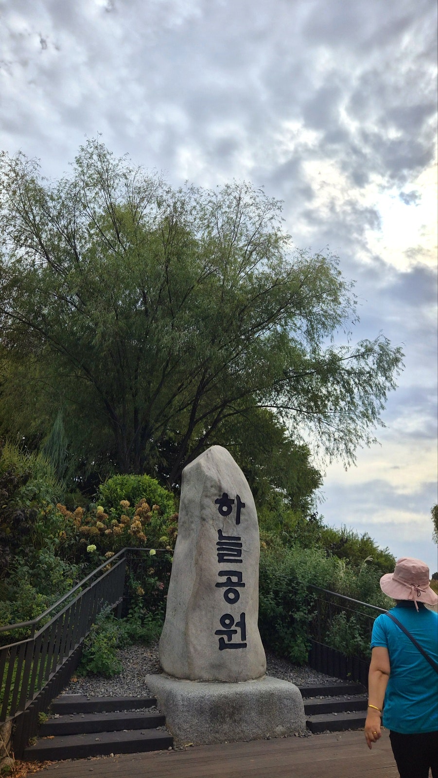 하늘공원 서울 산책코스 추천 | 꽃무릇이 활짝 핀 하늘공원 메타세콰이어길 후기 이미지 7