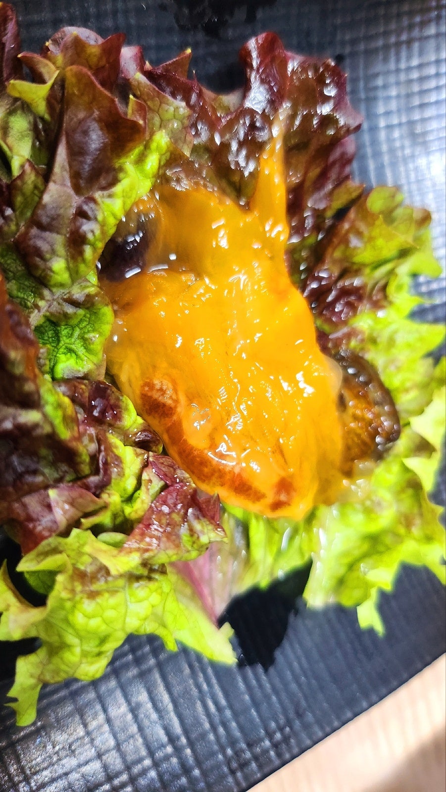 동명항 맛집 횟집 추천 | 속초 현지인 맛집 신가에서 모듬회 후기 이미지 24