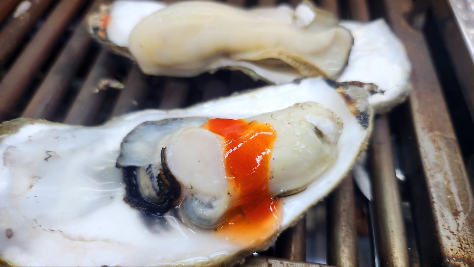 굴 맛집 화곡역 맛집 추천 | 싱싱한 굴과 가리비가 있는 화곡동 맛집 통영굴구이 후기 이미지 14