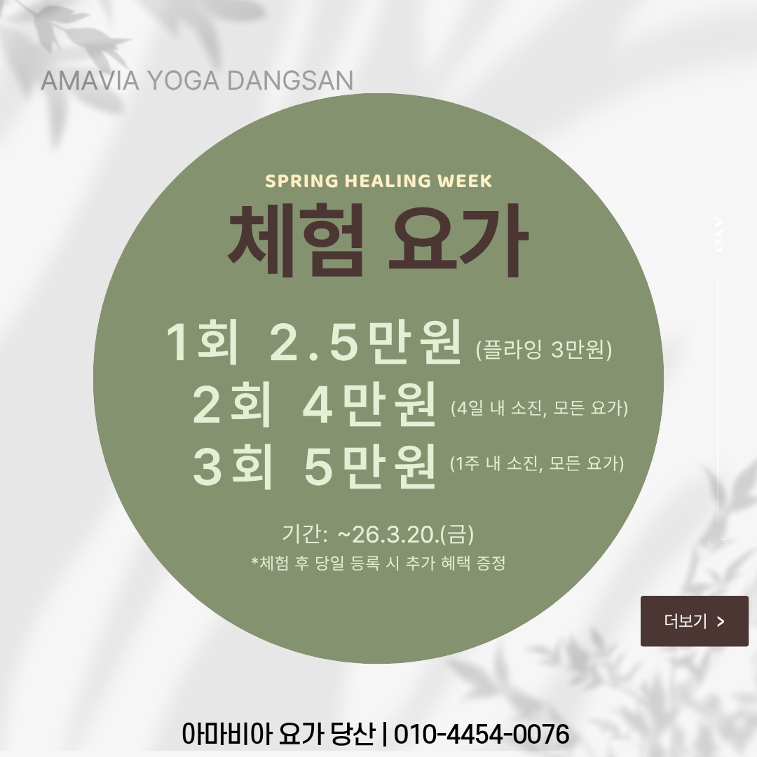 당산요가 추천 | 새로운 이름으로 시작하는 아마비아 요가 당산점 플라잉요가 매트필라테스 소도구필라테스 후기 이미지 16