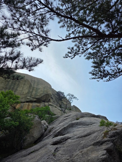 강원도 고성 | 금강산 설악산 성인대 화암사 숲길코스 울산바위 등산코스 후기 (코스, 주차정보) 이미지 9