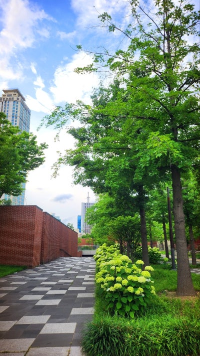 서울역 서계동 카페 추천 | 놀면뭐하니에 나온 카페 '상향선' | 크로와상 맛집 이미지 2