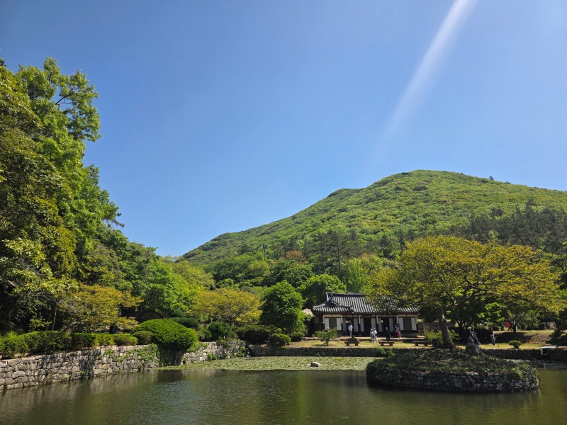 진도 여행코스 추천 | 조경이 예쁘고 한적한 운림산방 이미지 18