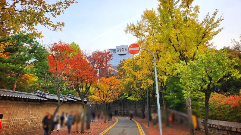 서울 데이트 코스 추천 | 가을을 느낄 수 있는 덕수궁과 정동길 산책 | 덕수궁 무료입장 정보 이미지 4