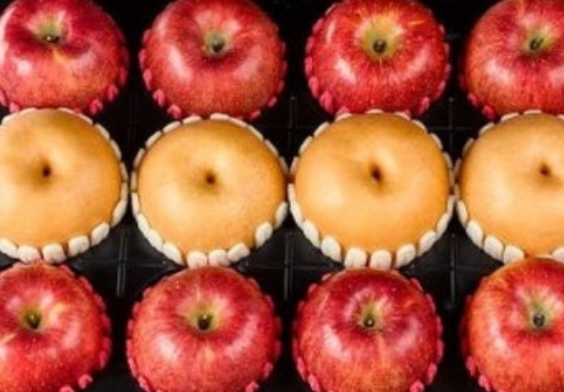 글렌그란트 10년 아시아나 비지니스 음료 라인업 | 싸게사는 방법과 맛있게 마시는 법 및 음식 페어링 팁 이미지 4