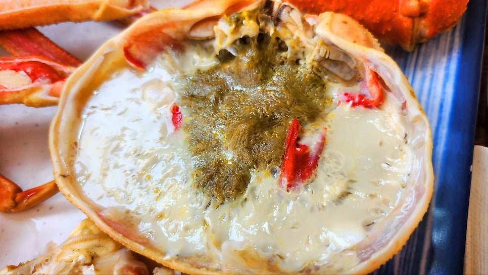 속초대포항대게 가성비 맛집 추천 | 어부지리에서 즐긴 완벽한 내돈내산 대게 + 회 세트 코스 이미지 27