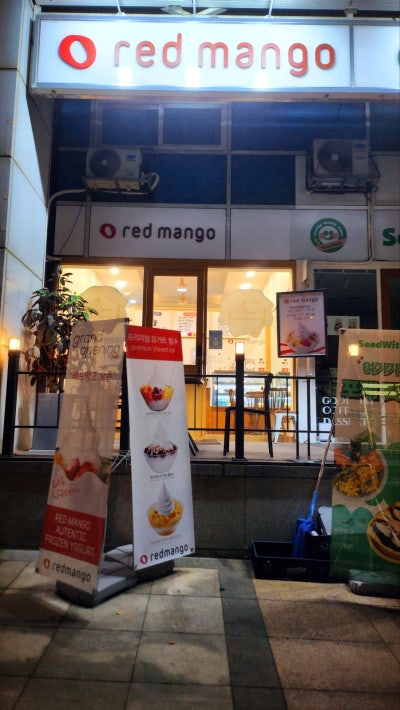 이대 요거트 디저트 카페 추천 | 신촌 요거트 아이스크림 전문점 레드망고 후기 이미지 2