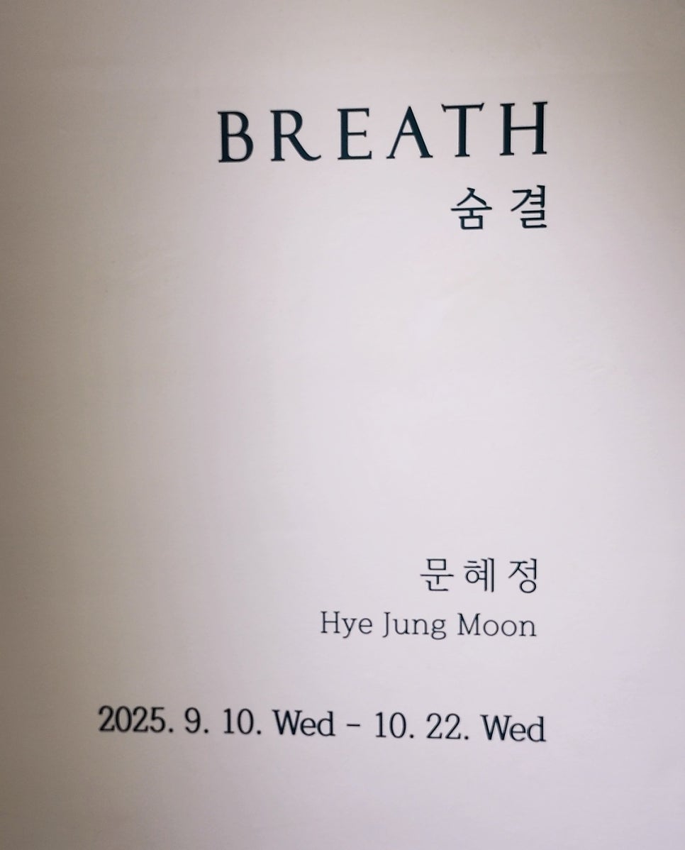 광화문 시청 덕수궁 내돈내산 카페 추천 | 전시도 볼 수 있는 스페이스 소포라 후기 이미지 14