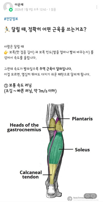 강남 역삼 PT 추천 | 무료주차가 가능한 강남역PT 바디튜토리얼PT 강남점 3,4번째 PT 후기