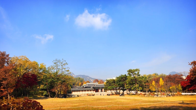 서울 데이트 코스 추천 | 단풍과 함께하는 경희궁 산책 코스 후기 이미지 7