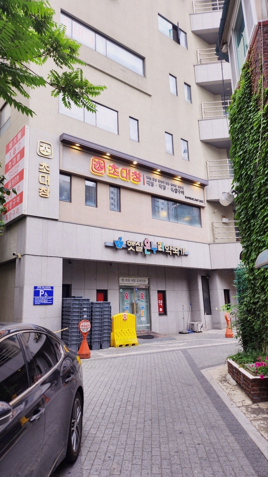 당산역 고기집 추천 | 콜키지 프리 가능한 당산역 맛집 고기집 초대창 당산역점 재방문 후기 이미지 4