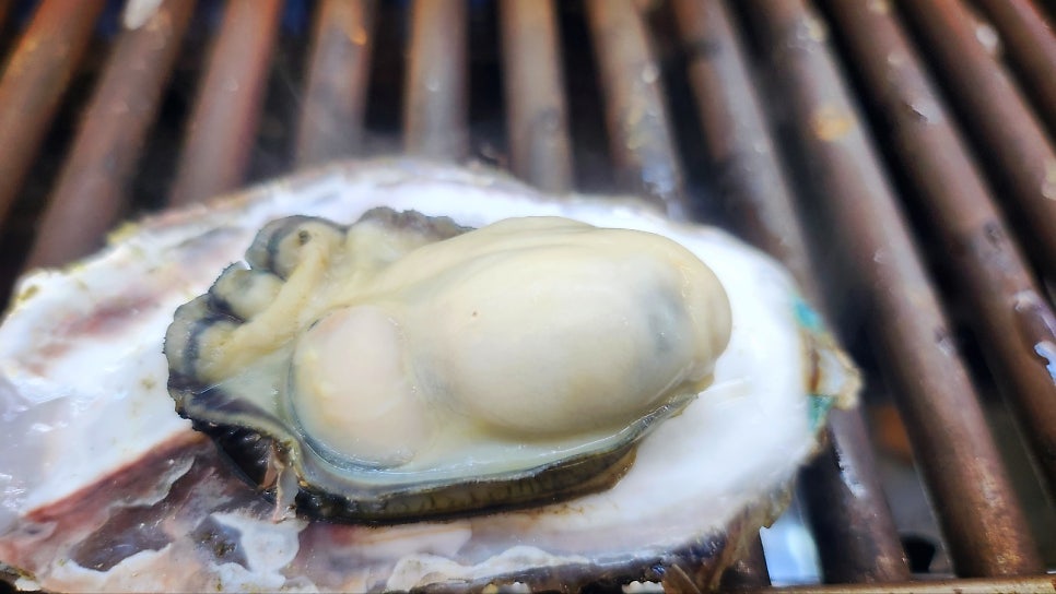 굴 맛집 화곡역 맛집 추천 | 싱싱한 굴과 가리비가 있는 화곡동 맛집 통영굴구이 후기 이미지 18