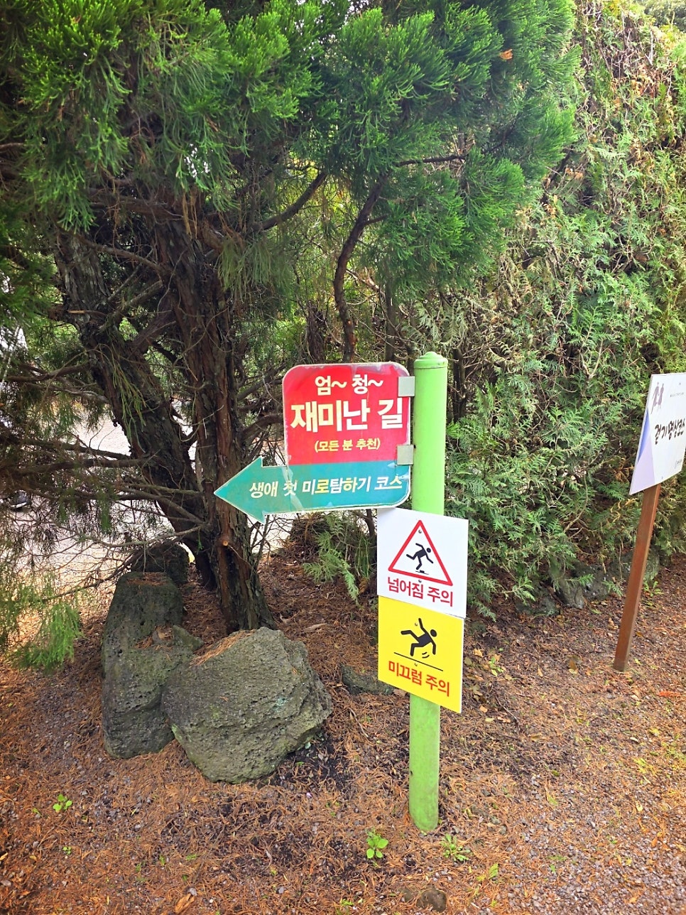제주 체험 제주 액티비티 추천 | 제주 아이랑 실외 실내 체험 메이즈랜드 후기 이미지 6