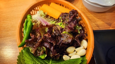 역삼 강남 회식장소 추천 | 역삼동 역삼역 횟집 향어회 맛집 서울양어장 후기 이미지 13