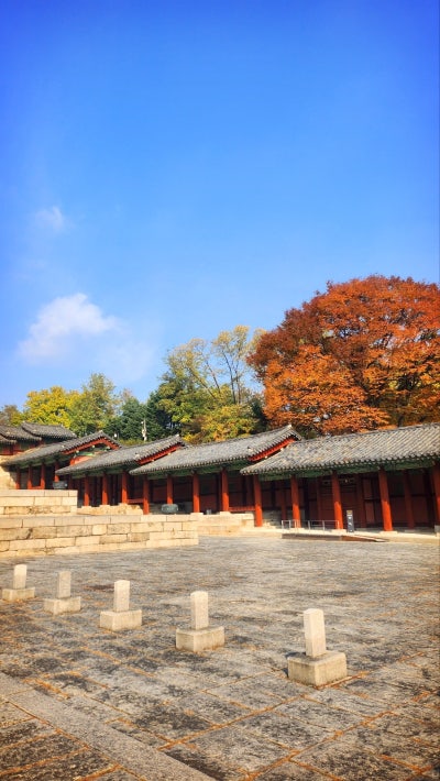 서울 데이트 코스 추천 | 단풍과 함께하는 경희궁 산책 코스 후기 이미지 4