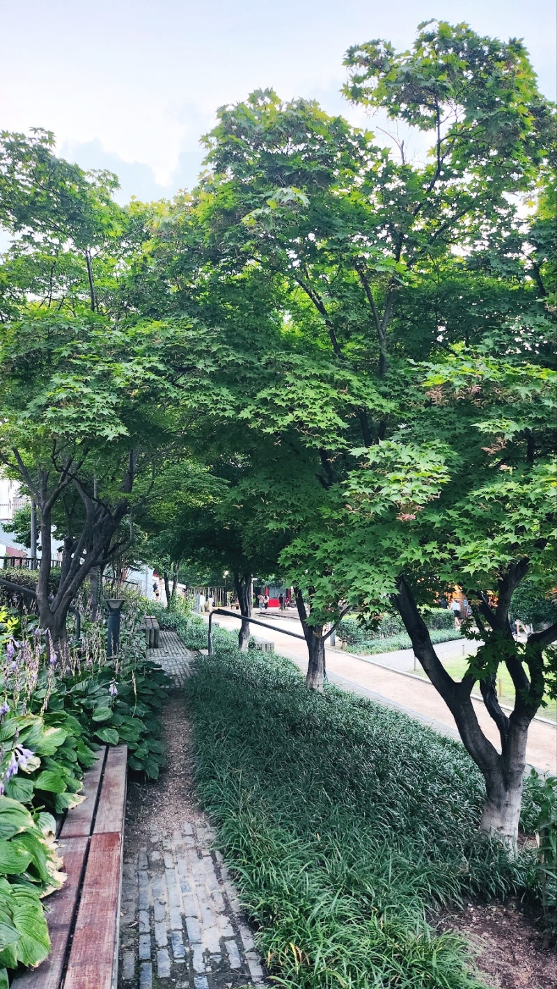 신촌 홍대 위스키바 추천 | 홍대입구역 분위기 술집 '회색분자' 후기