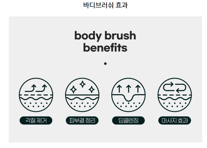 등드름 박멸 동반자 추천 | 각질과 등드름을 시원하게 없애주는 웨신 바디브러쉬 사용 후기