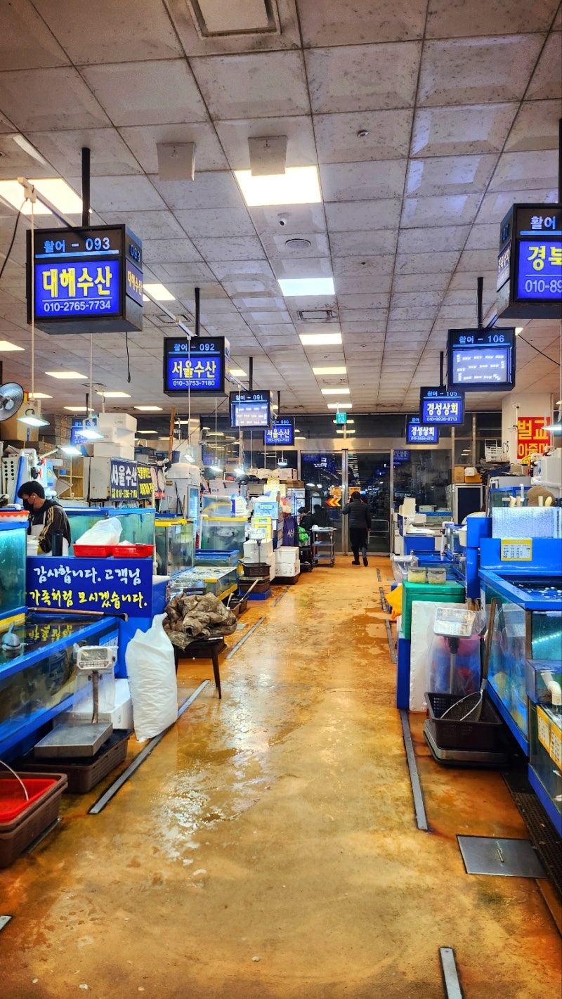 가성비횟집 추천 | 노량진횟집 노량진수산시장 회포장도 가능한 서울수산 후기 이미지 6