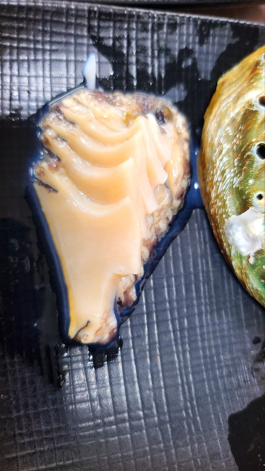 동명항 맛집 횟집 추천 | 속초 현지인 맛집 신가에서 모듬회 후기 이미지 23