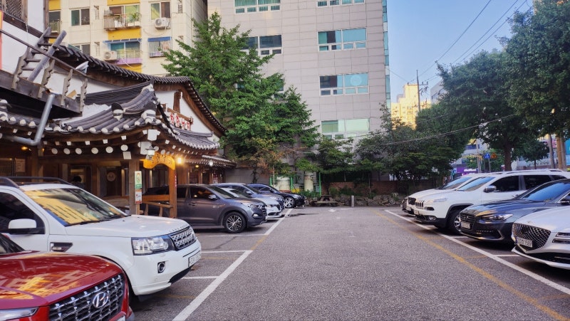 부평 낙지볶음 내돈내산 맛집 추천 | 해물누룽지탕과 낙지해물파전도 맛있는 착한낙지 부평직영점 후기 이미지 10
