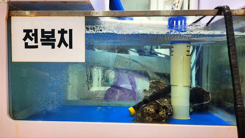 속초대포항대게 가성비 맛집 추천 | 어부지리에서 즐긴 완벽한 내돈내산 대게 + 회 세트 코스 이미지 13