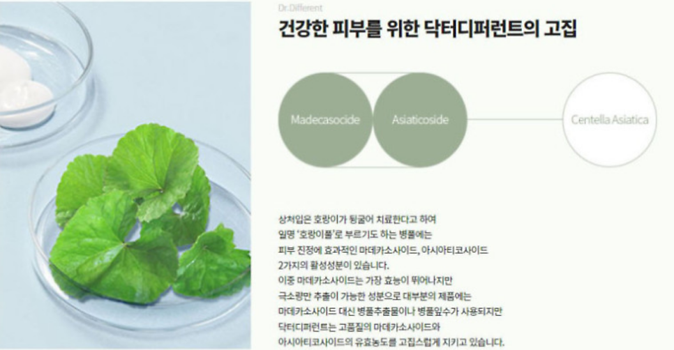 시카크림 추천 | 피부 리셋을 도와줄 진정크림 보습크림 닥터디퍼런트 시카 메탈 크림 Ph.D 후기 이미지 10