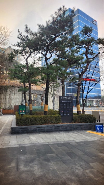 광화문한정식 추천 | 콜키지프리 가능한 광화문역한정식 보양맛집 원기옥 광화문점 후기 이미지 2
