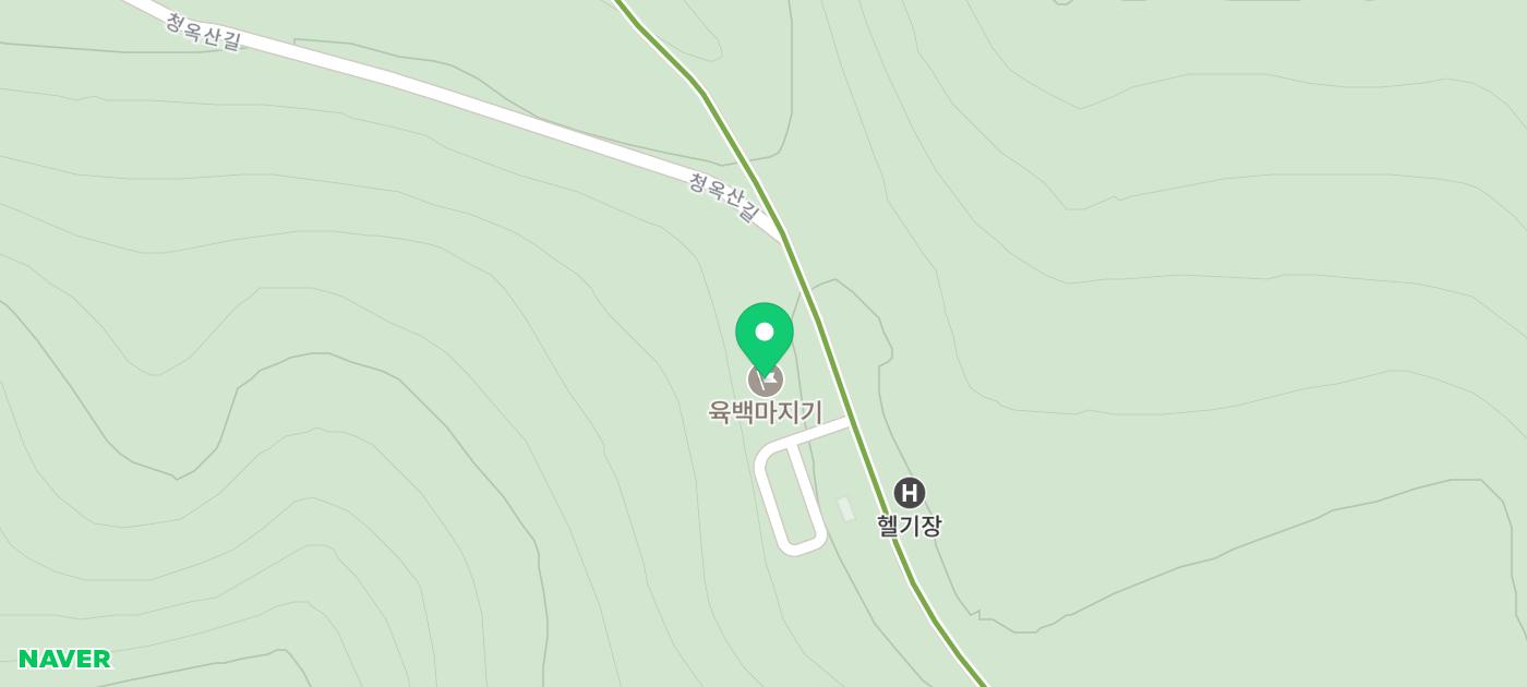 강원도 6월 여행 추천 | 평창 청옥산 육백마지기 데이지 이미지 21
