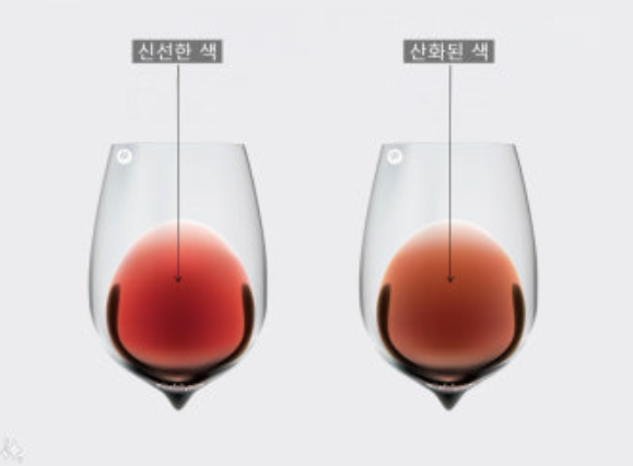 기초 와인 강좌 | 집에서도 제대로 즐기는 와인 보관법 및 맛있게 즐길 수 있는 와인 온도 이미지 4