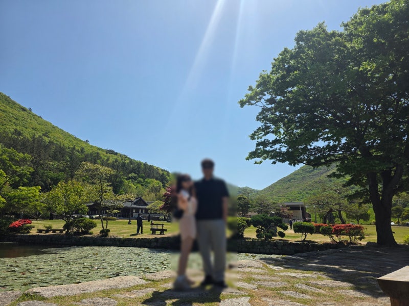진도 여행코스 추천 | 조경이 예쁘고 한적한 운림산방 이미지 16