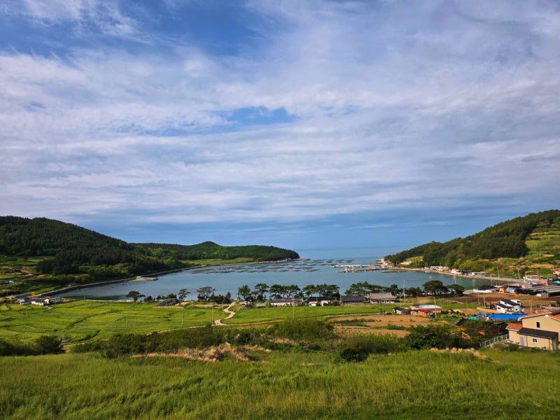 청산도 여행 코스 추천 | 서편제 촬영지 후기 (가는 방법, 버스 시간 안내) 이미지 5